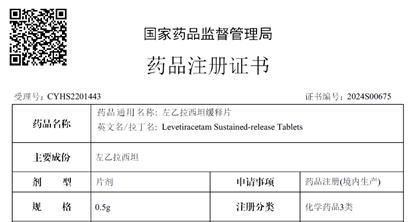 中美双报双获批圆满收官—左乙拉西坦缓释片500mg国内获批 | 项目进展