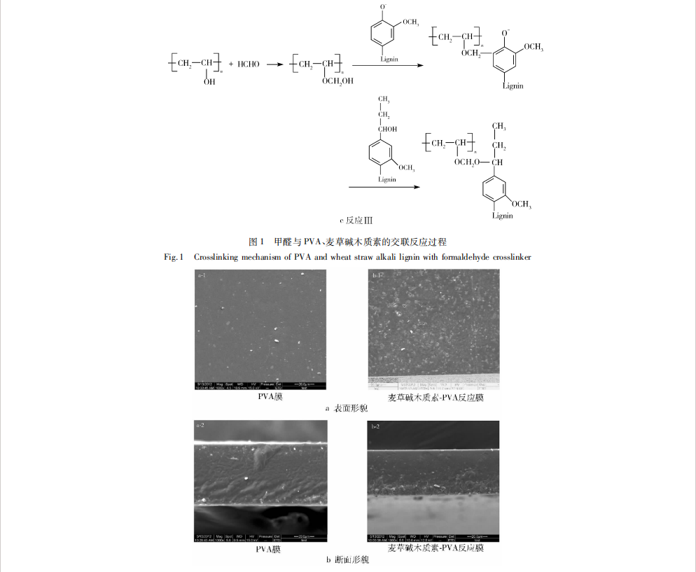 甲醛交联麦草碱木质素--聚乙烯醇反应膜的制备及其性能研究