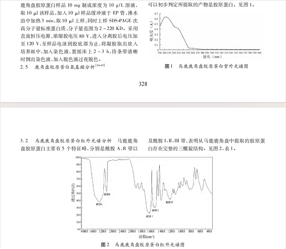 马鹿鹿角盘胶原蛋白特性研究