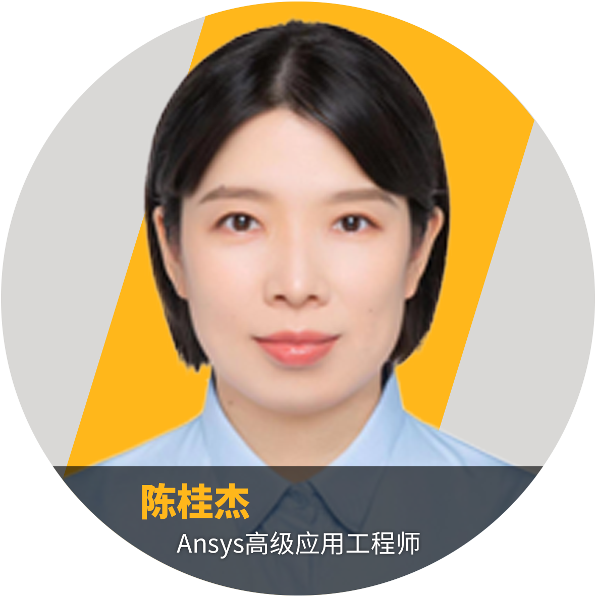 活動(dòng) | Ansys Fluent 2024 R1動(dòng)力電池新功能介紹