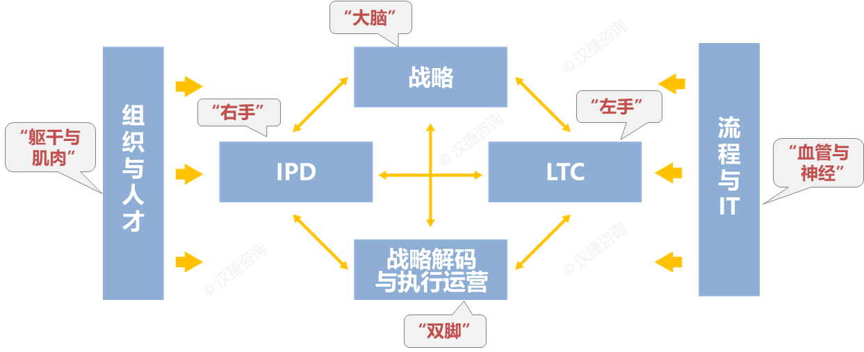 MTL与LTC营销咨询