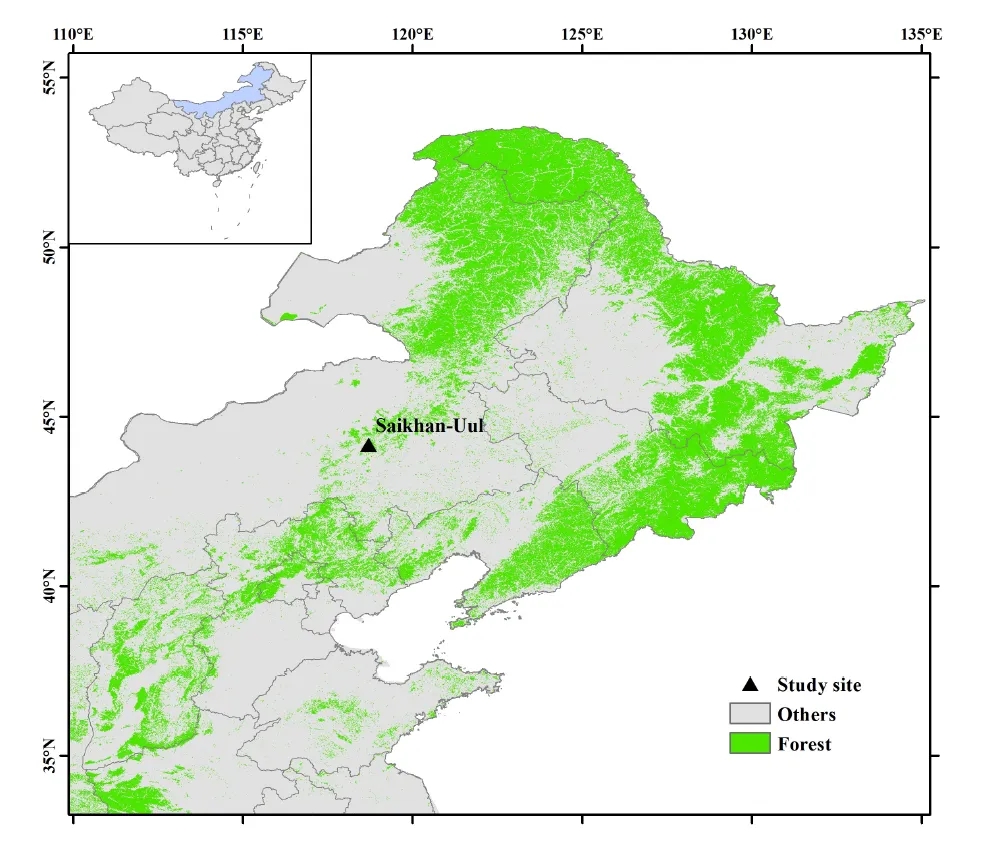 LI-2100 | 大兴安岭南部白桦的水分利用规律及其对干旱环境的适应性