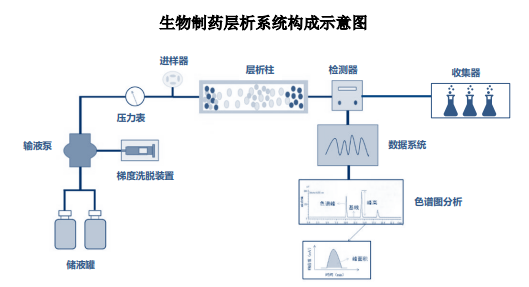 2024年全球及中国生物制药纯化系统发展概况及市场规模分析预测 2024年全球及中国生物制药纯化系统发展概况及市场规模分析预测