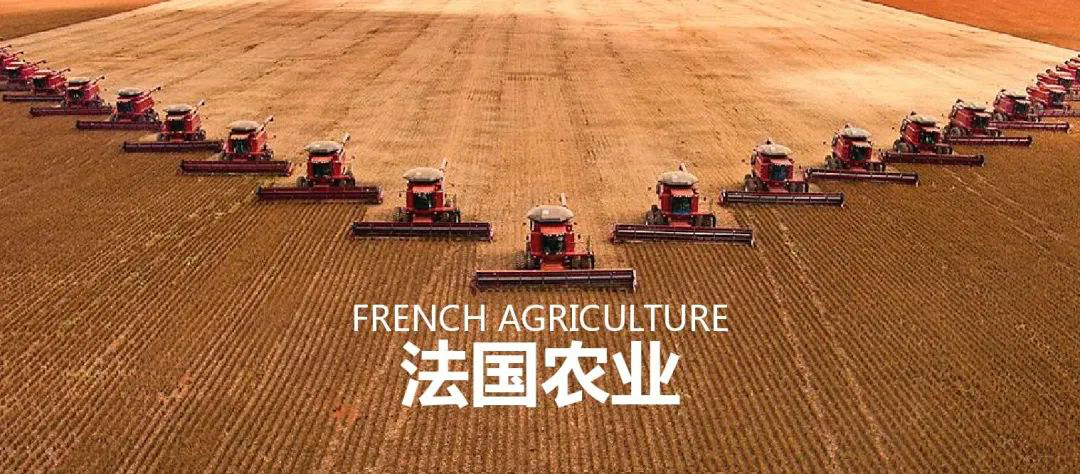 利好！中法两国农业交流合作迎来新的重大机遇
