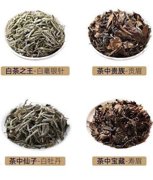 想买白茶却分不清品种?这一篇就够了!