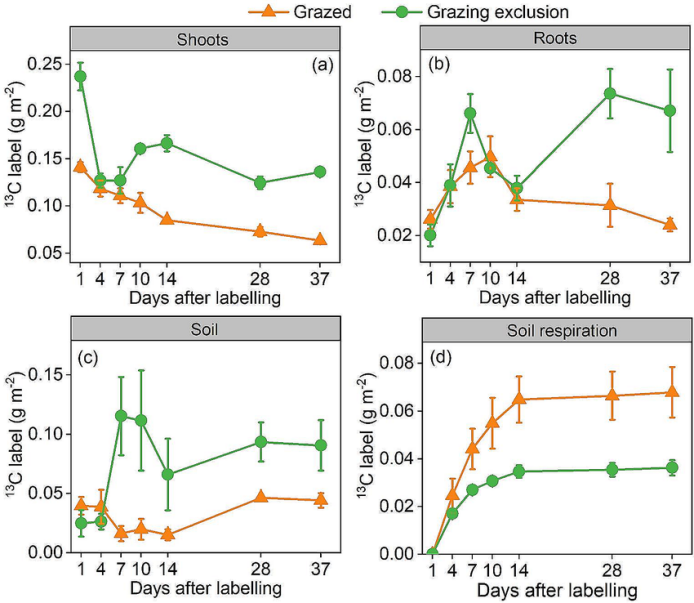 客户文章（Q1）| 通过13C标记光合产物的追踪，禁牧通过根源碳的微生物残体增加了土壤有机碳