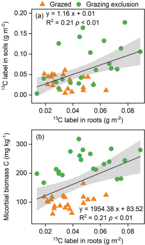 客户文章（Q1）| 通过13C标记光合产物的追踪，禁牧通过根源碳的微生物残体增加了土壤有机碳