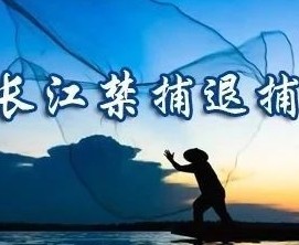 长江水生生物保护暨长江禁捕工作协调机制召开工作会商会议