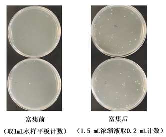 液样微生物采集富集试剂盒/超滤管