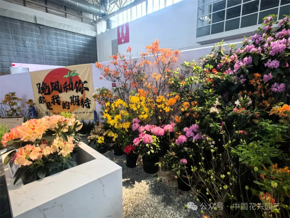 700多家展商汇聚北京 第26届中国国际花卉园艺展览会开幕 