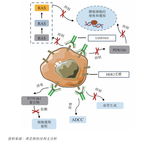 盛禾生物港交所上市，抗体细胞因子第一股诞生