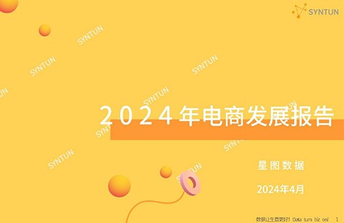 2024年电商发展报告