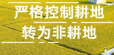 明日起实施！耕地保护，新法专章有八条