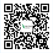 “以赛促训练，技能提升；以训强根基，能力蜕变”| 西安锦江物业2024年度环境技能比武大赛