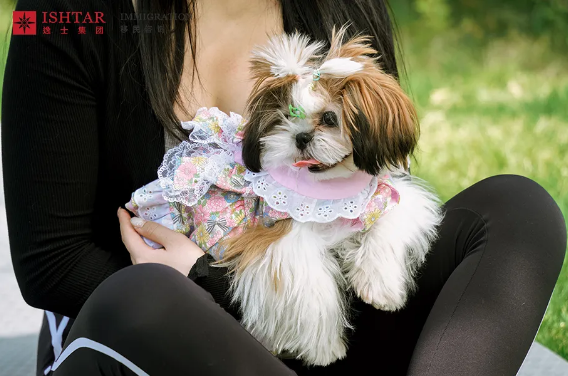 逸士生活 | Puppy Yoga与宠物的奇妙邂逅 逸士生活 | Puppy Yoga与宠物的奇妙邂逅