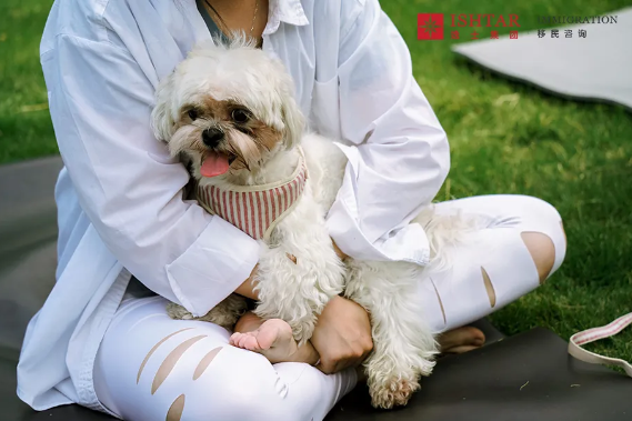 逸士生活 | Puppy Yoga与宠物的奇妙邂逅 逸士生活 | Puppy Yoga与宠物的奇妙邂逅