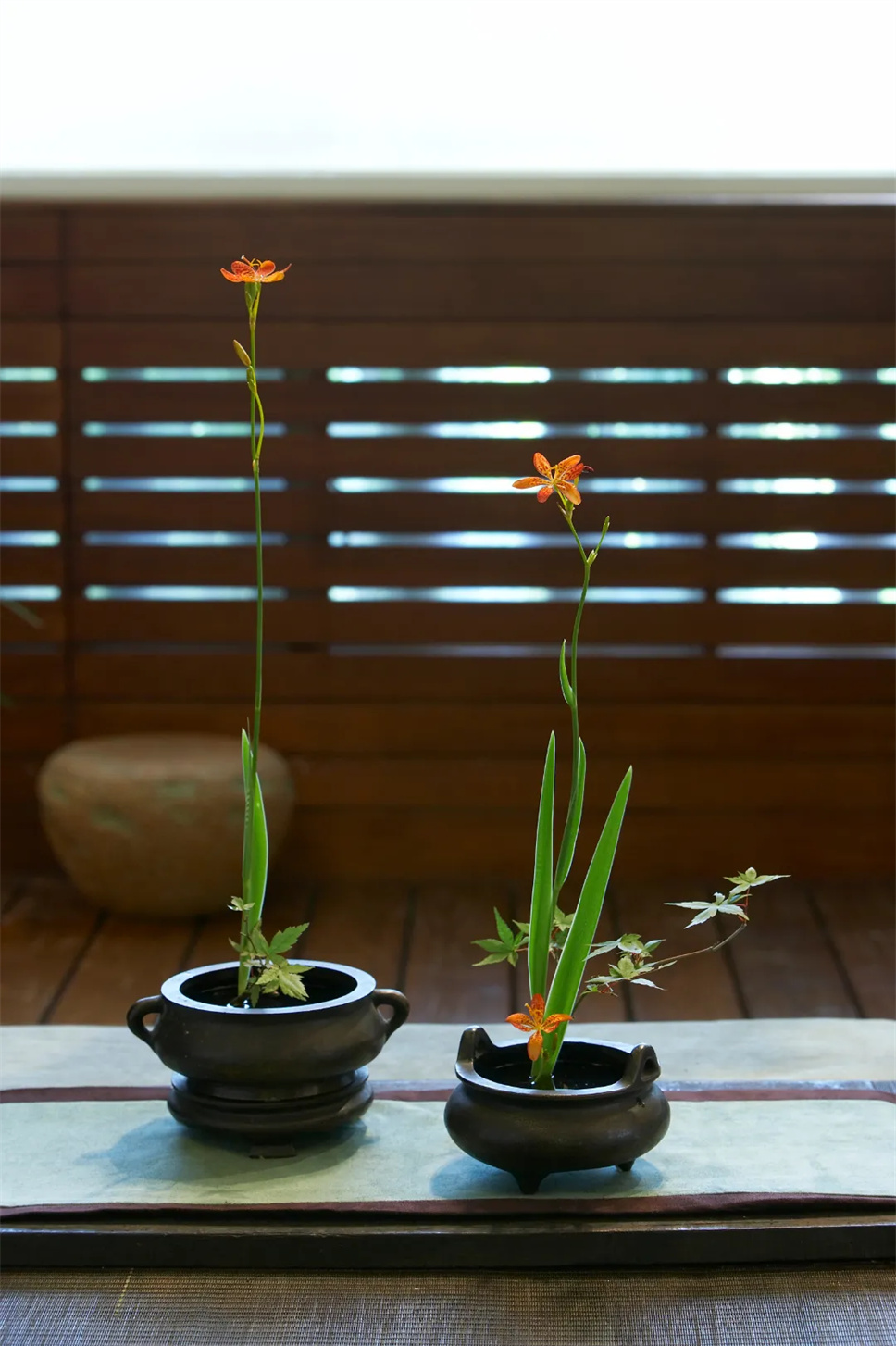 芒种插花：风吹麦浪，荷风送香，尽赏仲夏好风光