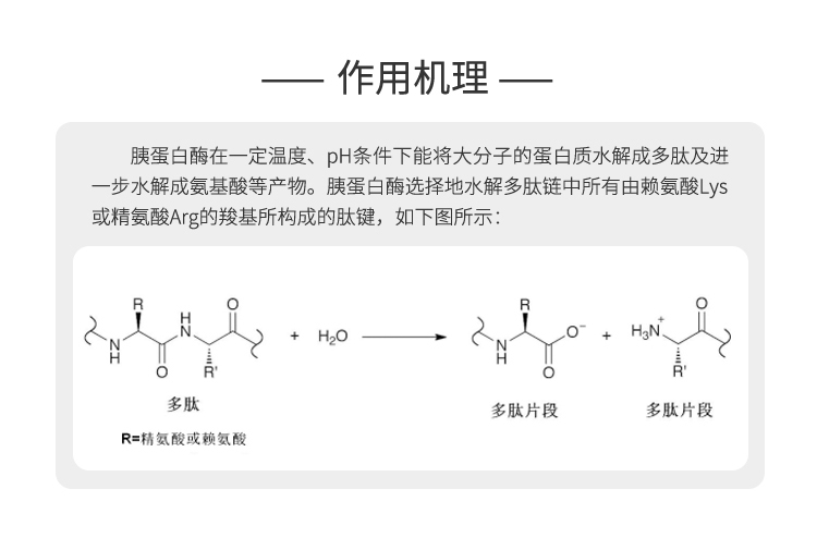 夏盛固体工业级胰蛋白酶20万酶活(水解大分子蛋白质)GDG-2009