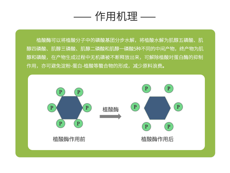 夏盛固体食品级植酸酶10万酶活(PHS型/降解植酸为肌醇和磷酸)FDG-2245