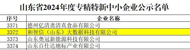 3家公司獲2024年度專(zhuān)精特新中小企業(yè)認(rèn)定