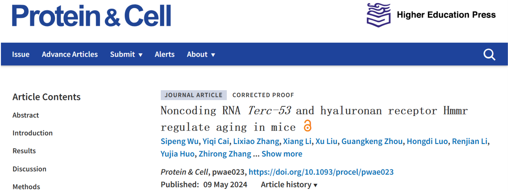 高分文献解读｜编码RNA Terc-53和透明质酸受体Hmmr可调节小鼠的衰老