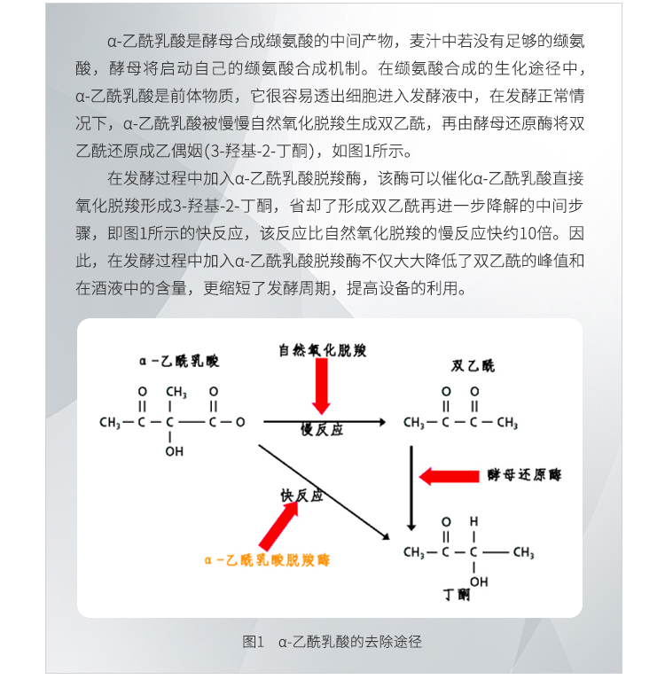 夏盛液体食品级α-乙酰乳酸脱羧酶1500酶活(啤酒酿造可用/降低双乙酰)FDY-2217