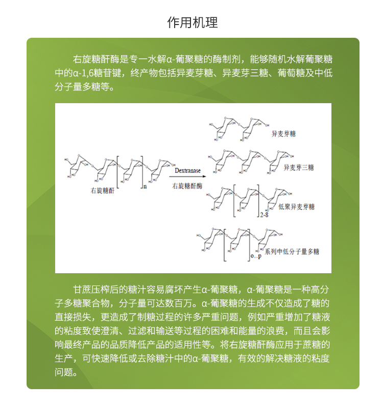 夏盛液体食品级右旋糖酐酶2.5万酶活(解决糖液黏稠问题)FDY-2207