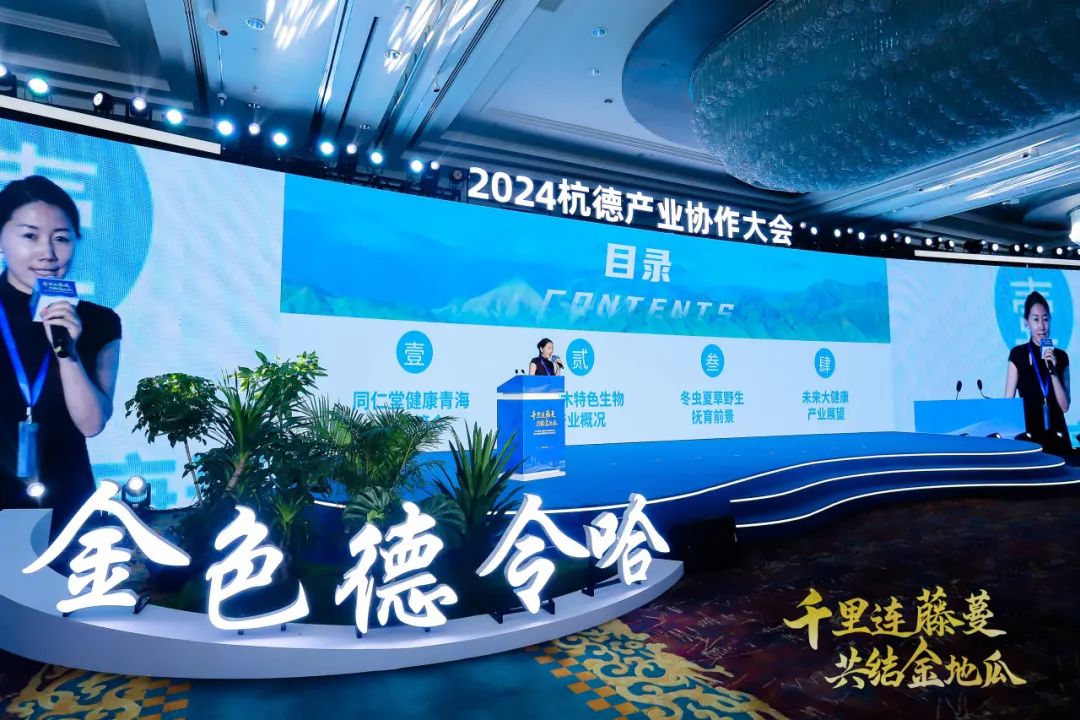 集团董事局主席金位海出席2024杭州-德令哈产业协作大会暨产业协作党建联建平台成立仪式