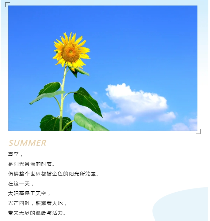 夏至 | 最長(zhǎng)的白晝，最久的陪伴