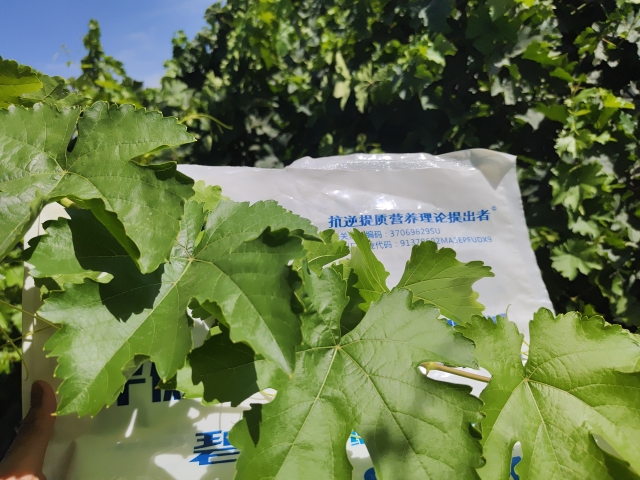 水溶肥哪個好？種植戶認可這家