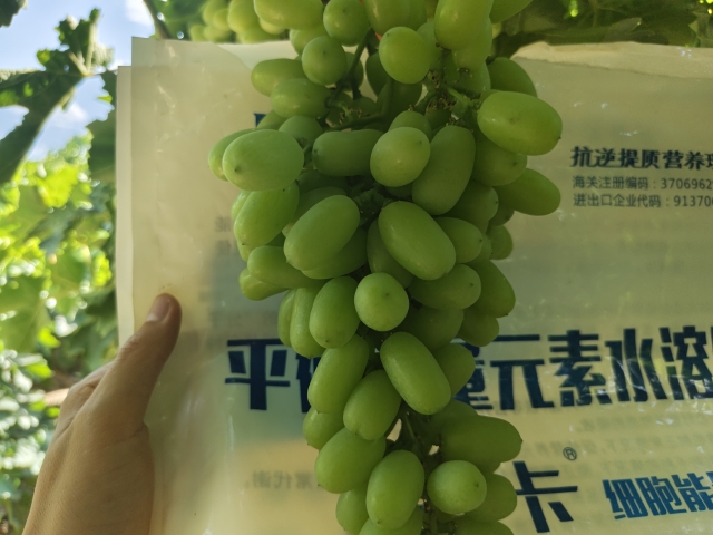 水溶肥哪個(gè)好？種植戶認(rèn)可這家