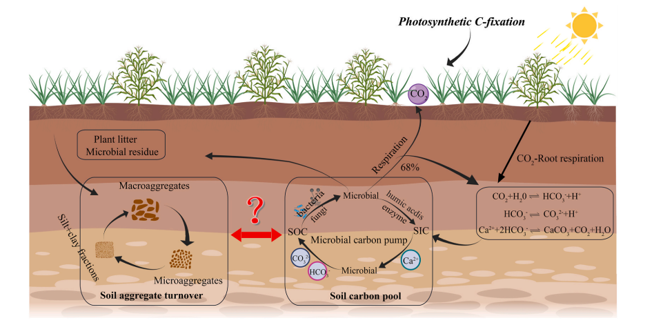 文献解读| 无机碳（SIC）向有机碳（SOC）的转化增强了青藏高原高寒生态系统的土壤固存和土壤结构稳定性