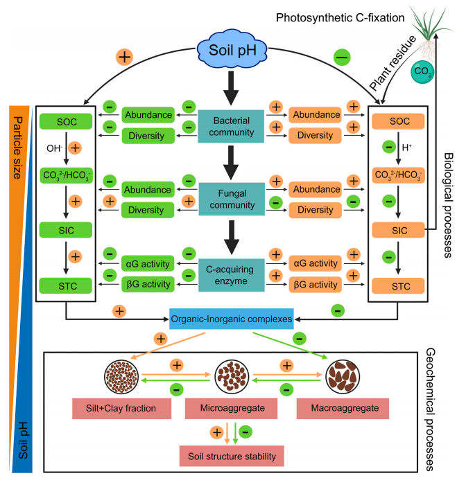 文献解读| 无机碳（SIC）向有机碳（SOC）的转化增强了青藏高原高寒生态系统的土壤固存和土壤结构稳定性