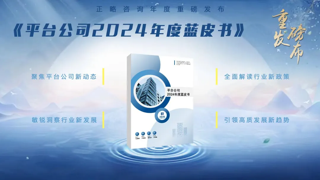 《平台公司2024年度蓝皮书》