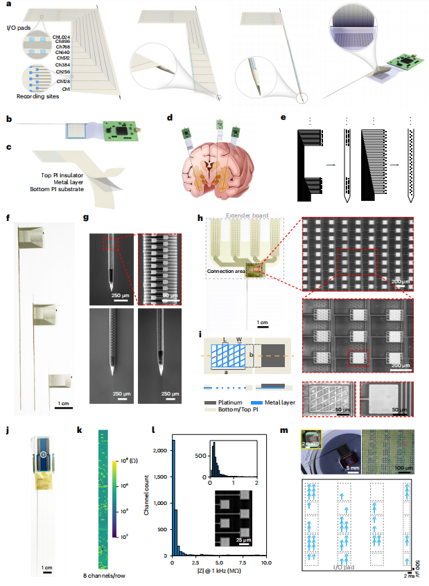 【Nature子刊】Brainsight智能动物手术机器人帮助科学家实现猕猴全脑神经活动监测