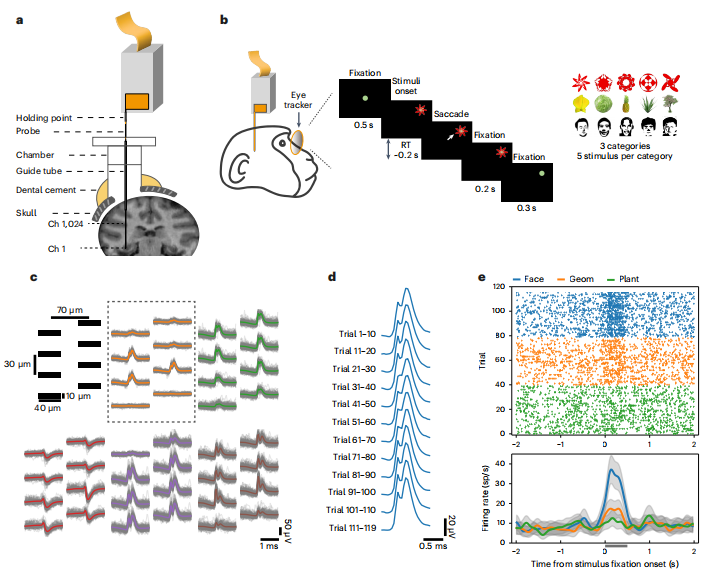 【Nature子刊】Brainsight智能动物手术机器人帮助科学家实现猕猴全脑神经活动监测