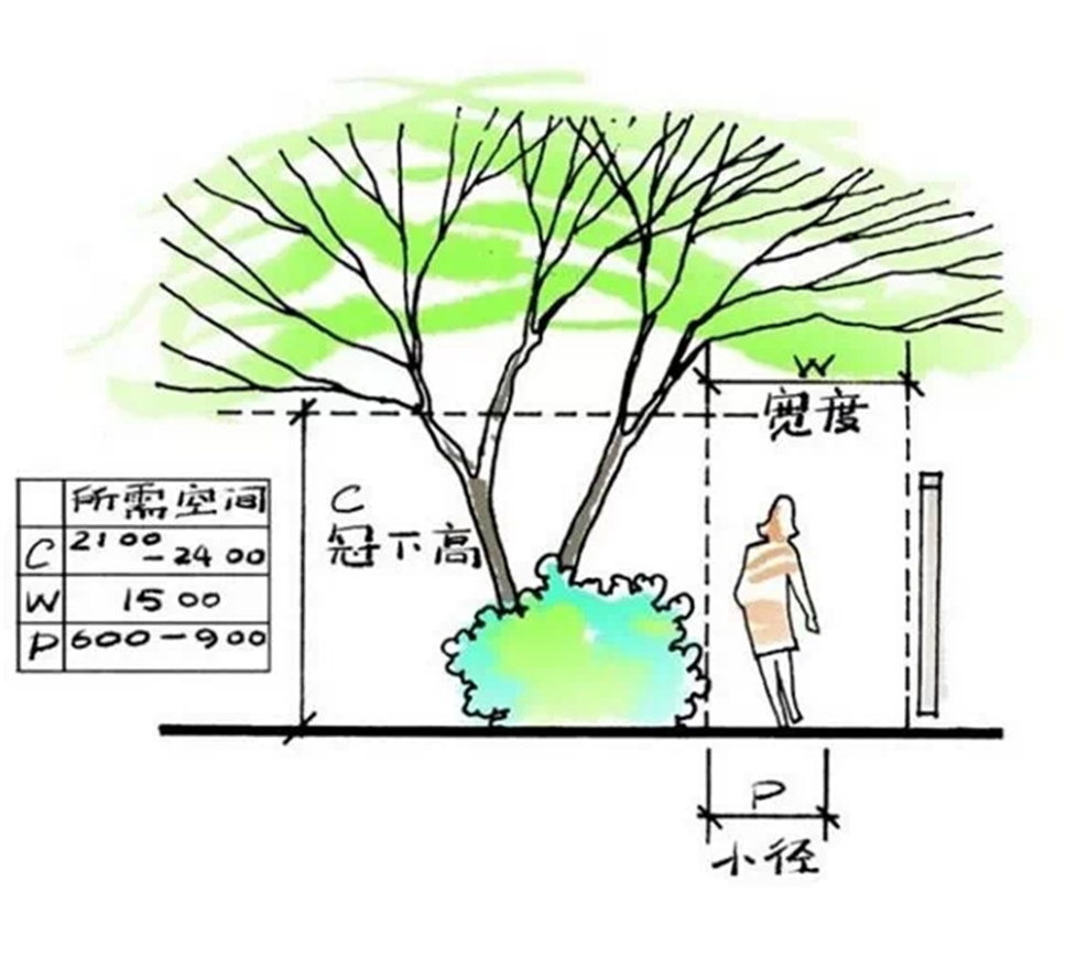 如何做好一個小花園，小庭院？（尺寸、植物詳解）