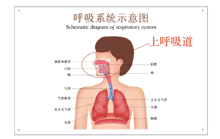 睡觉有这个「习惯」的人老得快！别急，还能逆转