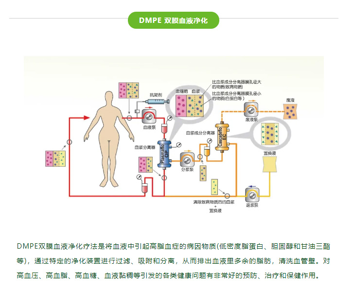 「我明明很瘦，为什么血脂却高了？」