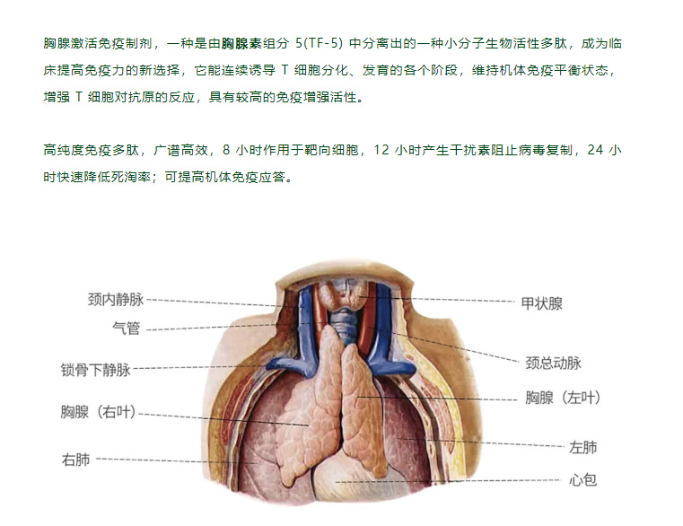 中年危机来袭，该如何提升免疫力？