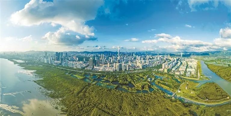 深圳以高品质生态环境支撑高质量发展