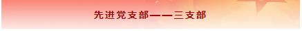 七一建党节|先进基层党组织和优秀党务工作者风采展示