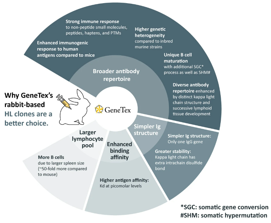 GeneTex重组兔单克隆抗体，助力您的科研之路