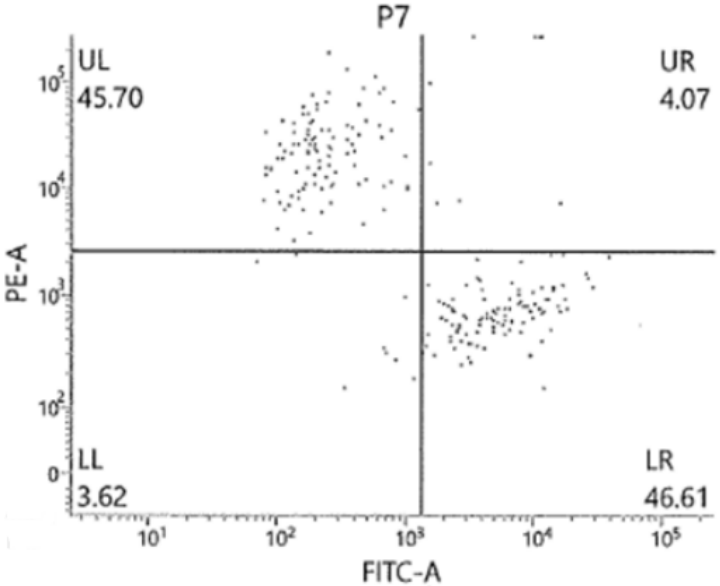 Anti-Kappa FITC / anti-Lambda R-PE流式抗体—IQ Producst新品推荐