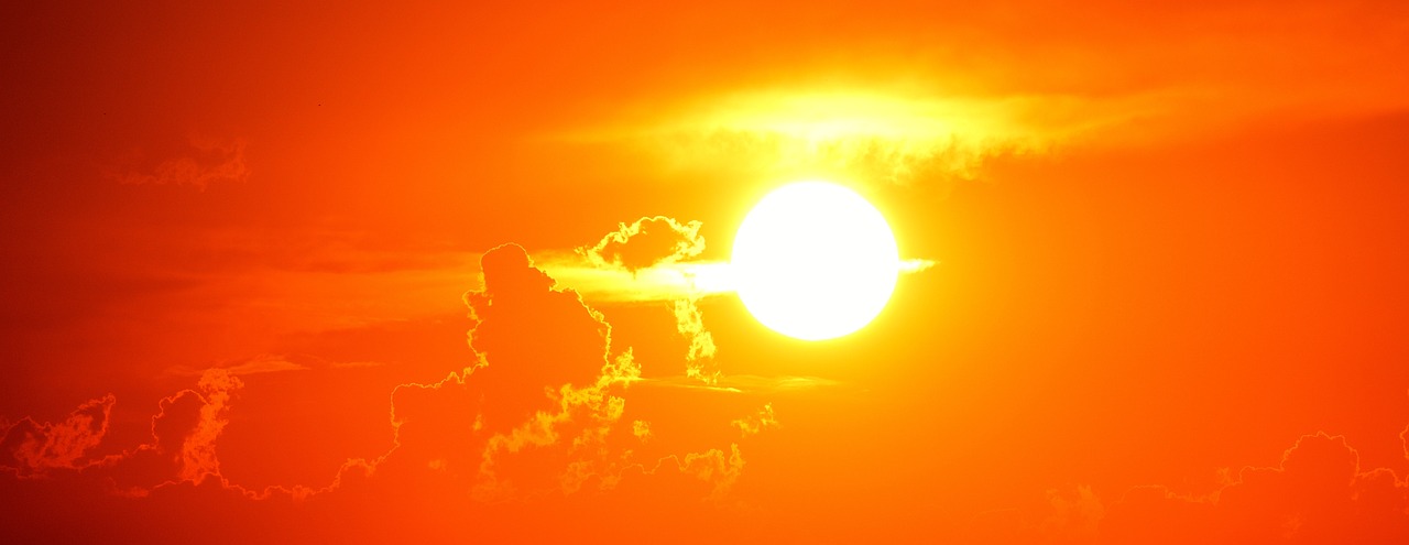 炎炎夏日，卫事康为员工送清凉！