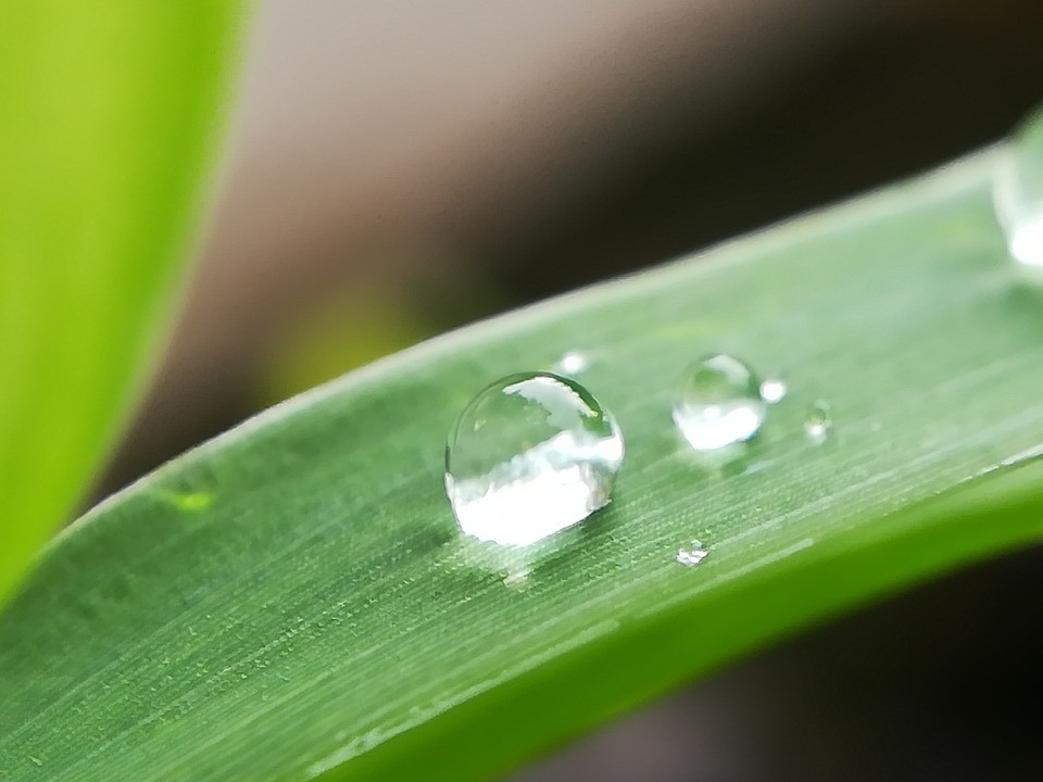 今日雨水 | 待一场春雨 迎万物新生