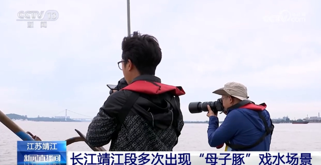 江豚、亚洲象……野生动物频“亮相” 见证我国生物多样性保护成效 江豚、亚洲象……野生动物频“亮相” 见证我国生物多样性保护成效