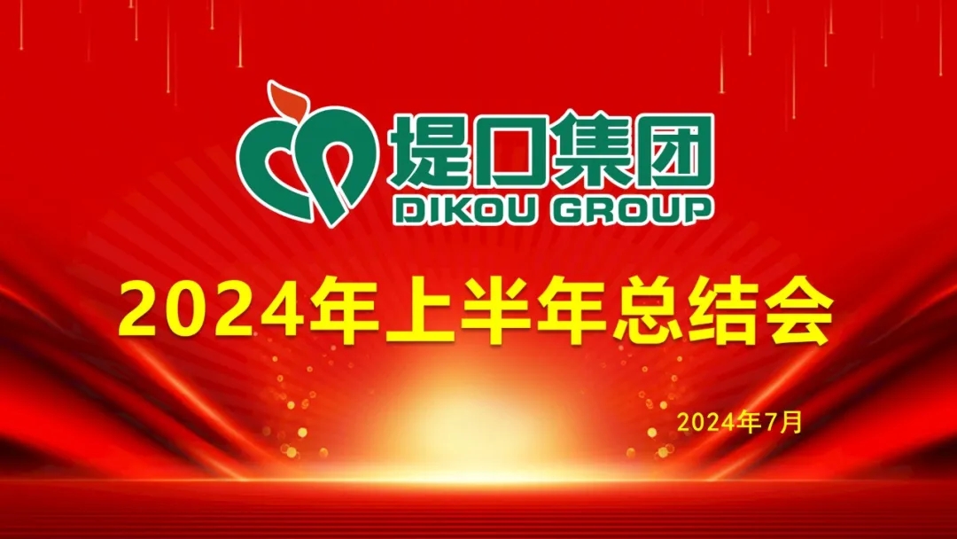 集团公司召开2024年上半年总结大会