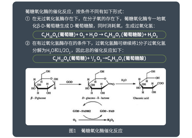 永利集团3044固体食品级葡糖氧化酶1万酶活(果脯/果蔬汁/啤酒/葡萄糖酸盐加工可用)FDG-2248