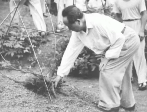 76年毛主席病重，躺在病床上含泪嘱咐李敏：有件事你要帮我去办